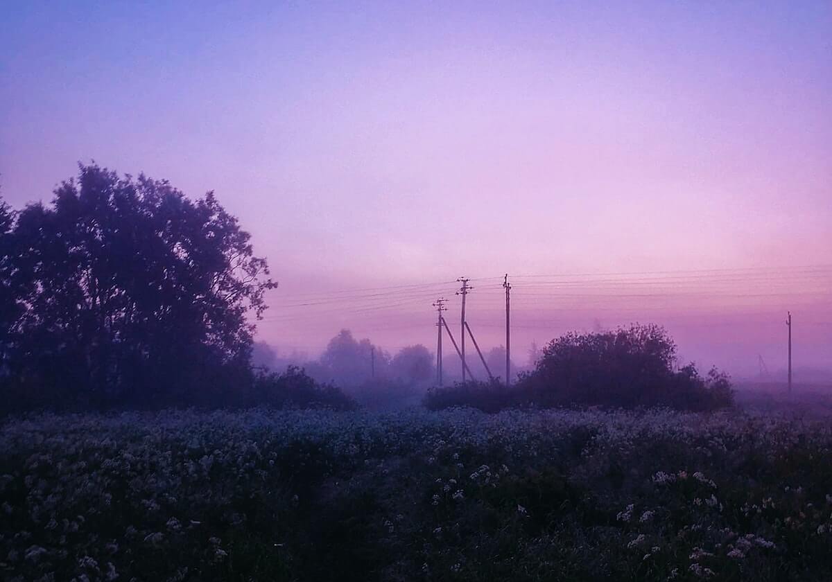 深圳球迷在王哲林罚球时大喊“沪上阿姨”,后者被干扰后不中